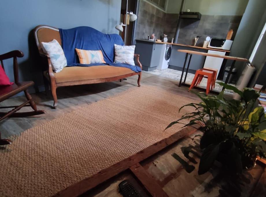 Studio 1 Chambre Ideal Salaries Nomades Montauban Eksteriør billede